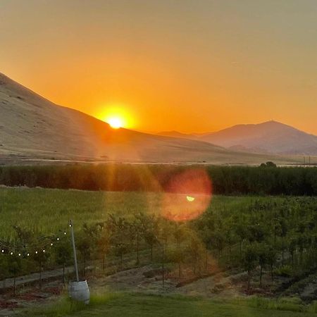 Sequoia View Vineyard Bed and Breakfast Sanger Εξωτερικό φωτογραφία