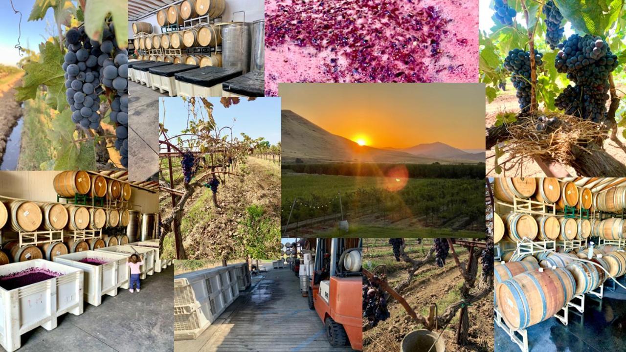 Sequoia View Vineyard Bed and Breakfast Sanger Εξωτερικό φωτογραφία